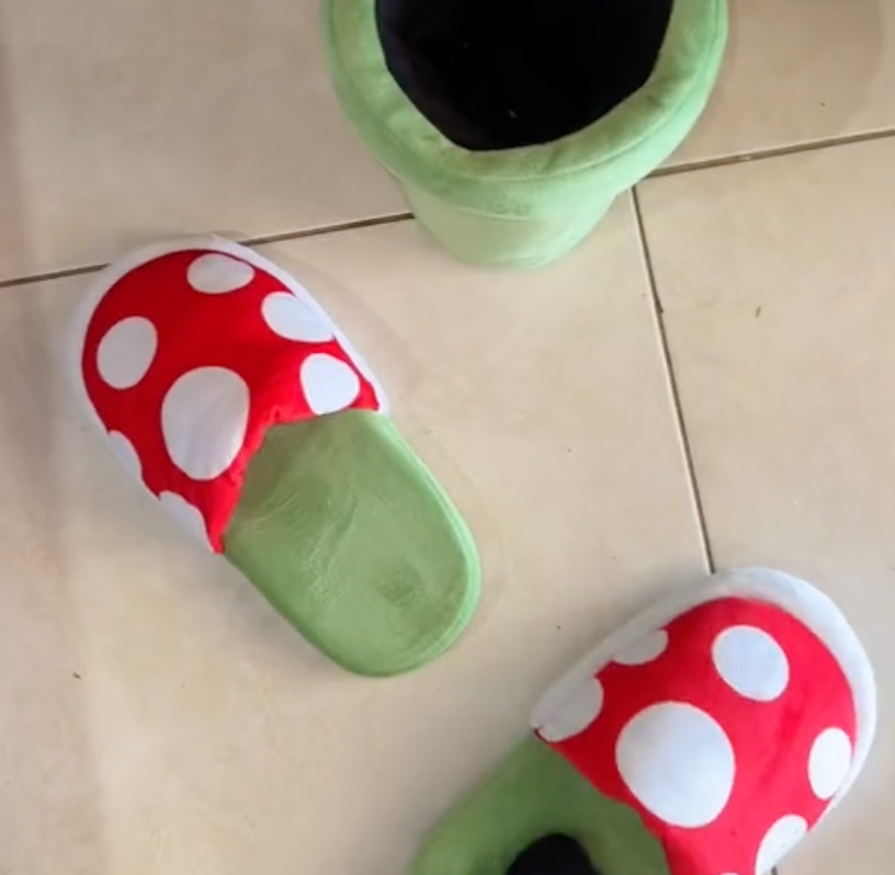 Super Mario Slippers