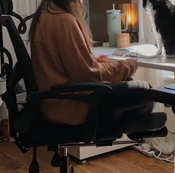 Ergonomic Chair