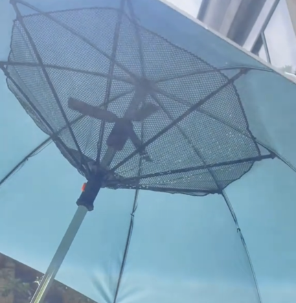 Umbrella